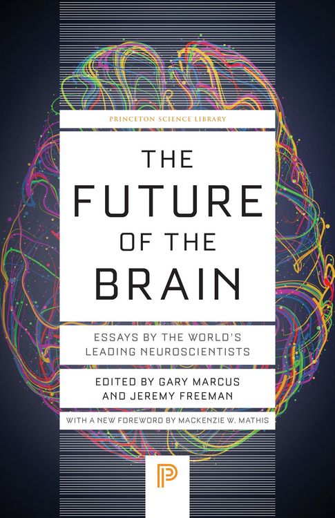 Produktbild: The Future of the Brain - Essays by the World's Leading Neuroscientists