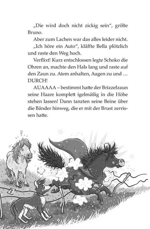Produktbild: Die Haferhorde 4: Schmetterlinge im Ponybauch