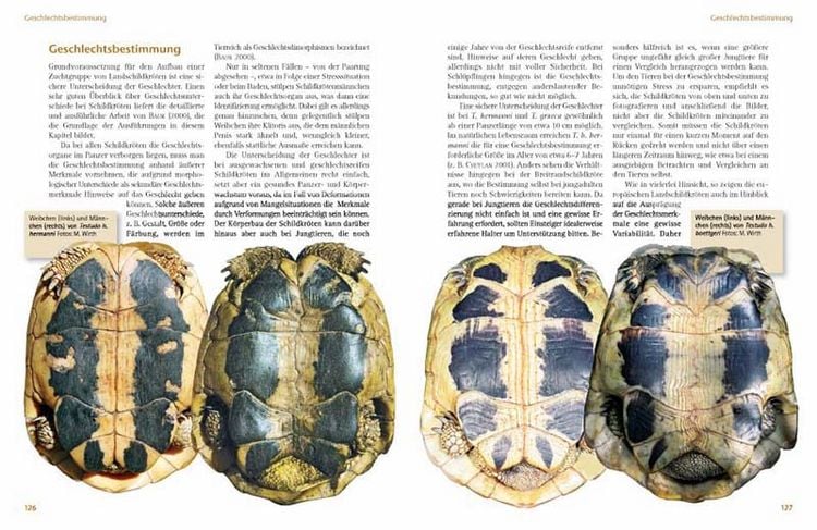 Produktbild: Das Schildkr&ouml;tenjahr
