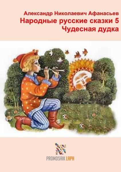 Produktbild: Народные русские сказки 5 Чудесная дудка