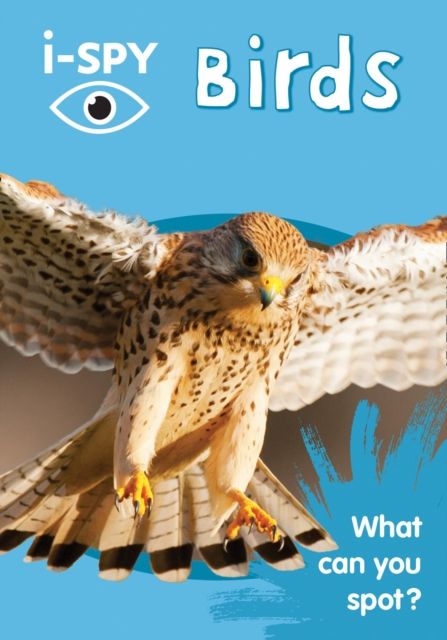 Produktbild: I-Spy Birds