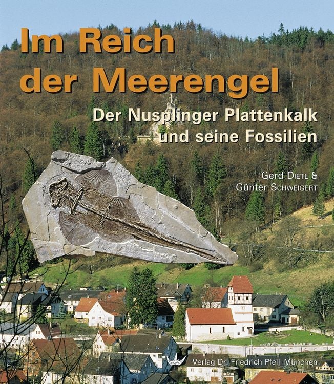 Produktbild: Im Reich der Meerengel