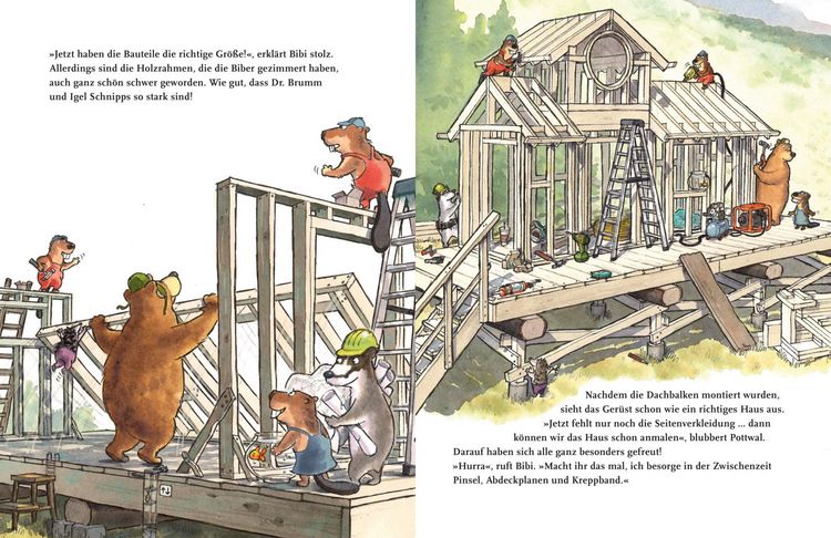 Produktbild: Dr. Brumm: Dr. Brumm baut ein Haus