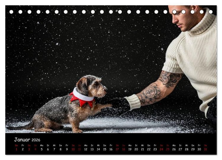 Produktbild: Coole Typen - Rauhaardackel (Tischkalender 2026 DIN A5 quer), CALVENDO Monatskalender