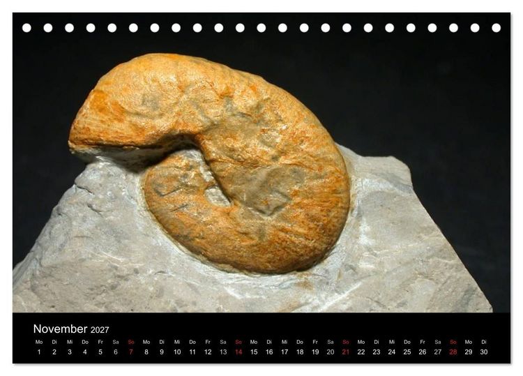 Produktbild: Fossilien - Zeugen der Urzeit (Tischkalender 2027 DIN A5 quer), CALVENDO Monatskalender