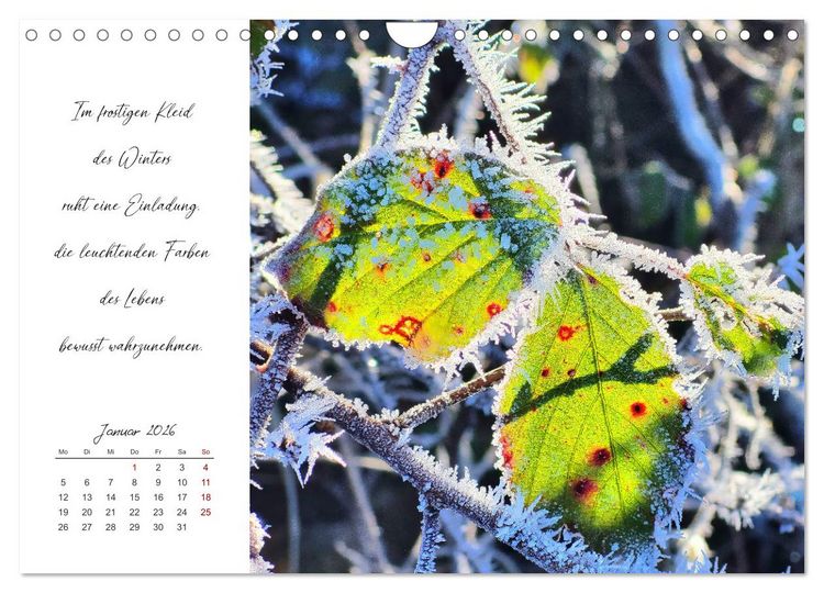 Produktbild: Der Atem der Stille - Achtsame Augenblicke in der Natur (Wandkalender 2026 DIN A4 quer), CALVENDO Monatskalender