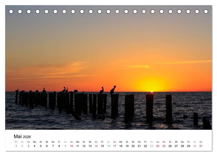 Produktbild: Unter der Sonne Floridas (Tischkalender 2026 DIN A5 quer), CALVENDO Monatskalender