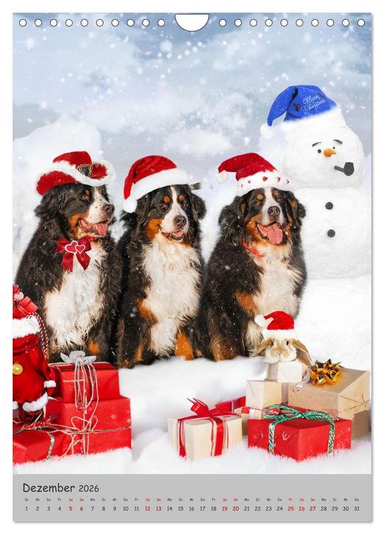 Produktbild: Berner Sennenhund - Ein Hund f&uuml;r alle F&auml;lle (Wandkalender 2026 DIN A4 hoch), CALVENDO Monatskalender