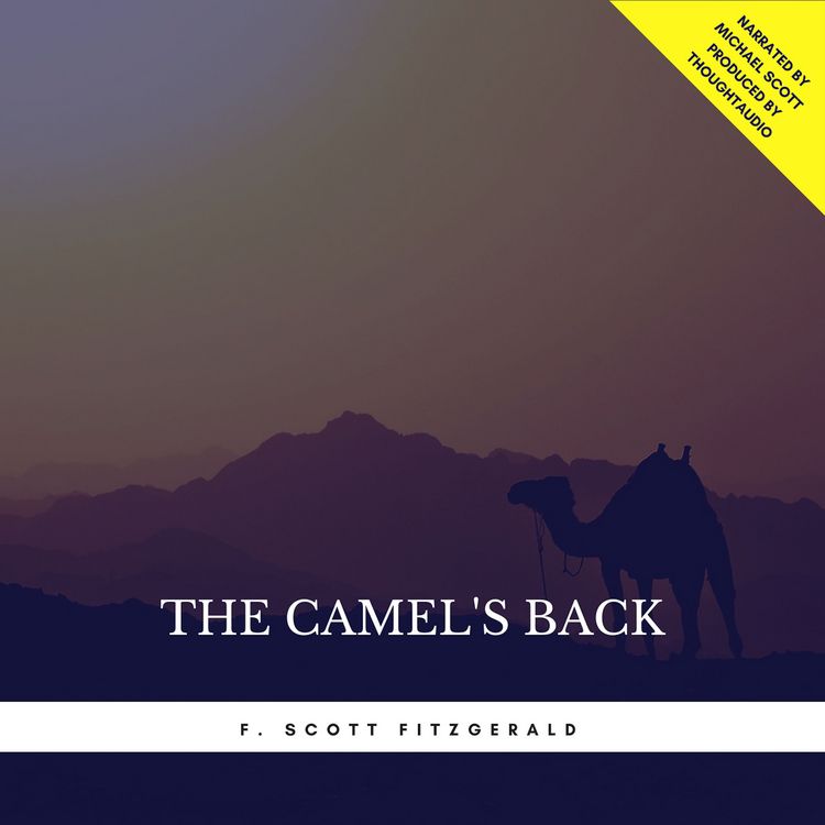 Produktbild: The Camel's Back