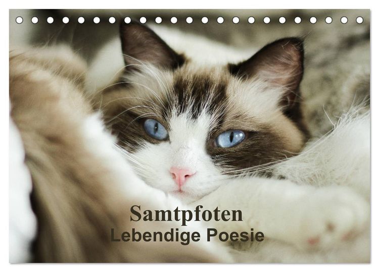 Produktbild: Samtpfoten Lebendige Poesie (Tischkalender 2026 DIN A5 quer), CALVENDO Monatskalender