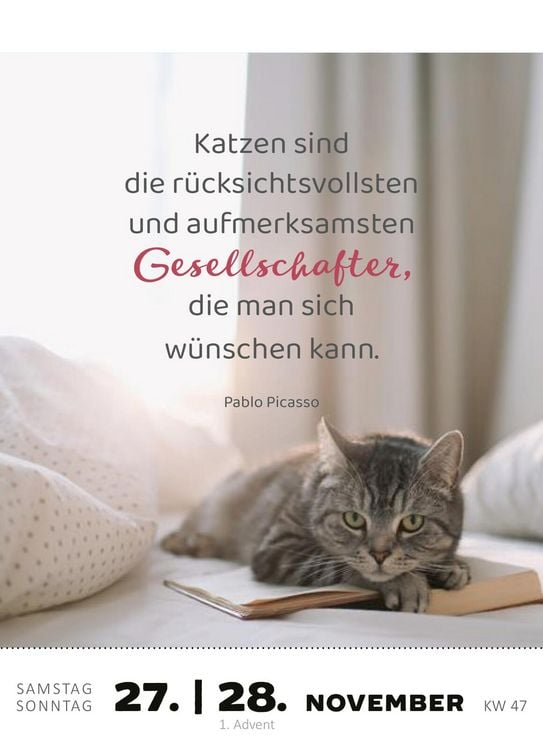 Produktbild: Abrei&szlig;kalender Katzenweisheiten 2027