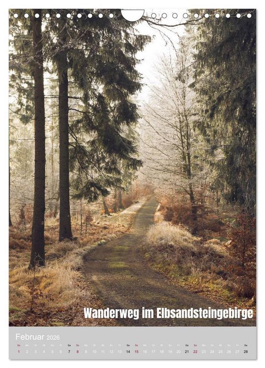 Produktbild: Traumpfade - Sch&ouml;ne Heimat Sachsen (Wandkalender 2026 DIN A4 hoch), CALVENDO Monatskalender