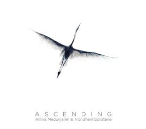 Produktbild: Ascending