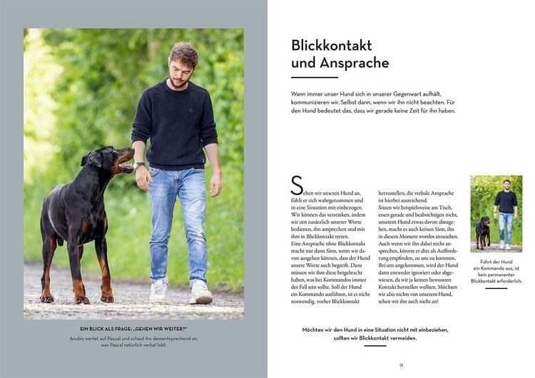 Produktbild: Ohne Leine unterwegs