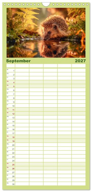 Produktbild: Familienplaner 2027 - Waldgefl&uuml;ster mit 5 Spalten (Wandkalender, 21 x 45 cm) CALVENDO