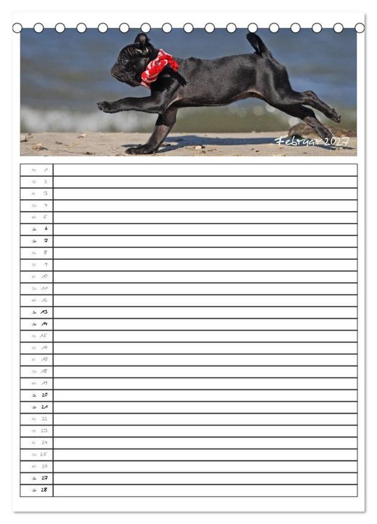 Produktbild: Der mopsige Familienplaner (Tischkalender 2027 DIN A5 hoch), CALVENDO Monatskalender