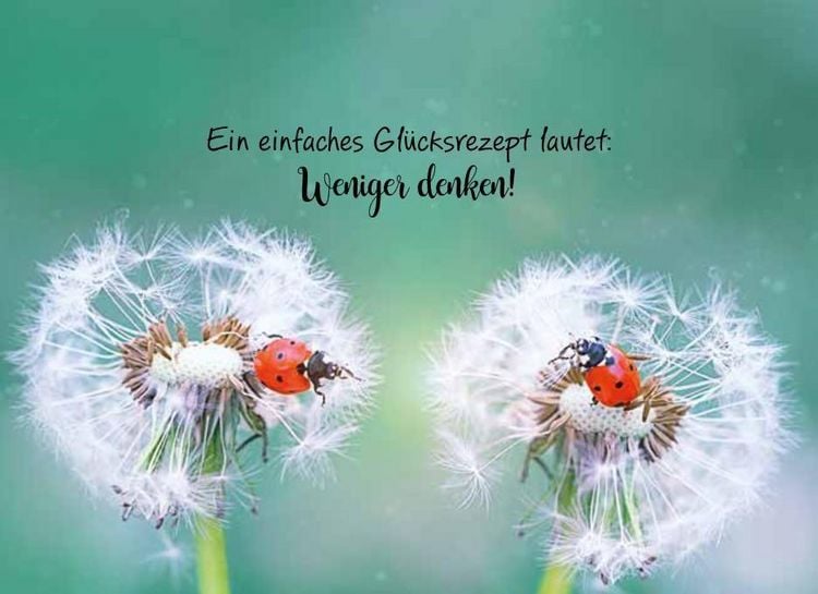 Produktbild: Herzensw&uuml;nsche f&uuml;r dich