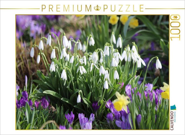 Produktbild: CALVENDO Puzzle Fr&uuml;hbl&uuml;her | 1000 Teile Lege-Gr&ouml;&szlig;e 64x48cm Foto-Puzzle f&uuml;r gl&uuml;ckliche Stunden