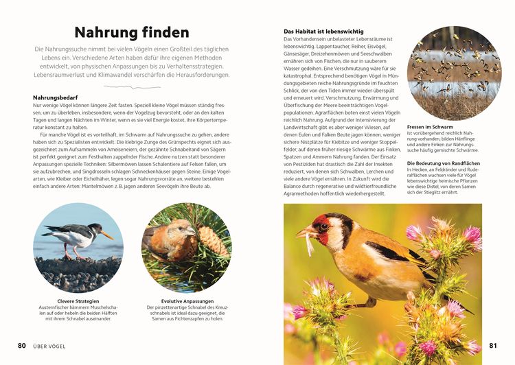Produktbild: V&ouml;gel beobachten und ihre Lebensr&auml;ume kennenlernen
