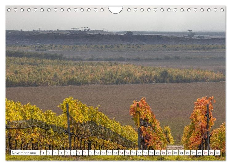 Produktbild: Zwischen Spree und Nei&szlig;e - Ein Jahr in der Lausitzer Vielfalt (Wandkalender 2026 DIN A4 quer), CALVENDO Monatskalender