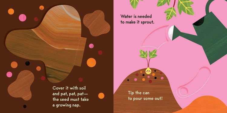 Produktbild: Grow, Seed, Grow!