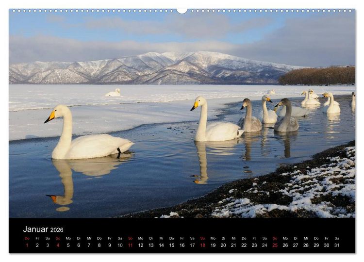 Produktbild: V&ouml;gel & Landschaften (hochwertiger Premium Wandkalender 2026 DIN A2 quer), Kunstdruck in Hochglanz