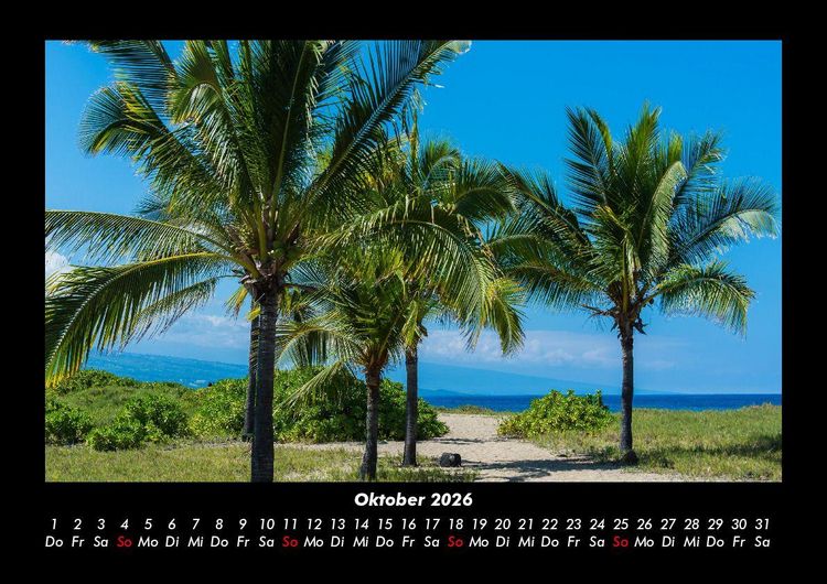 Produktbild: Palmentraum 2026 Fotokalender DIN A3