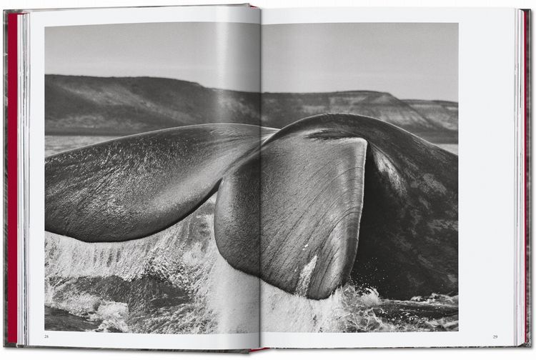 Produktbild: Sebasti&atilde;o Salgado
