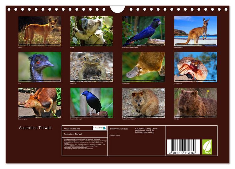 Produktbild: Australiens Tierwelt (Wandkalender 2026 DIN A4 quer), CALVENDO Monatskalender