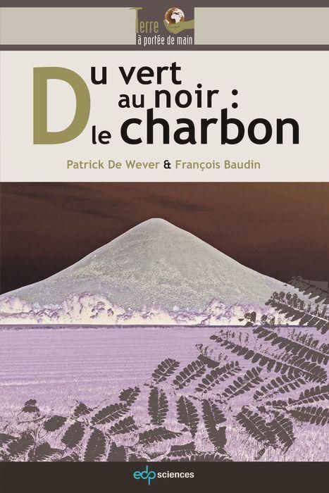 Produktbild: Du vert au noir : le charbon
