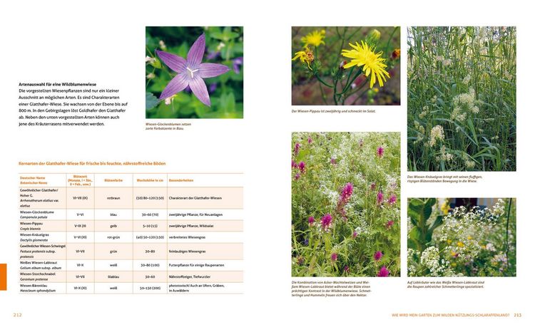 Produktbild: Wo die wilden N&uuml;tzlinge wohnen