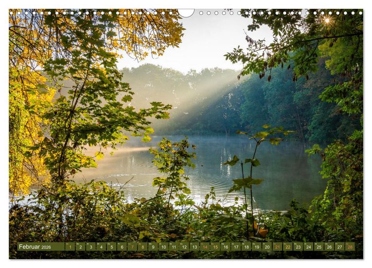 Produktbild: Herbst im Dieskauer Park (Wandkalender 2026 DIN A3 quer), CALVENDO Monatskalender
