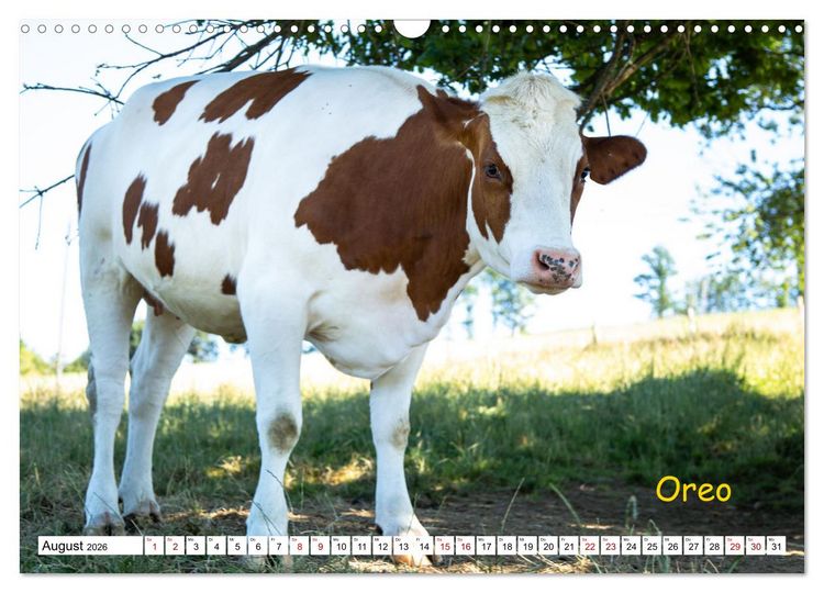 Produktbild: Aussterbende Rassen und Rarit&auml;ten (Wandkalender 2026 DIN A3 quer), CALVENDO Monatskalender