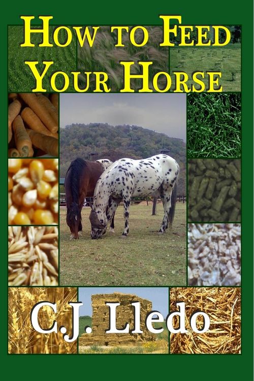 Produktbild: How to Feed Your Horse: An Owner's Guide to Calculating Your Horse's Diet