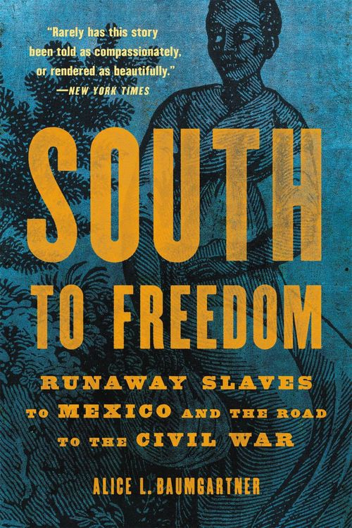 Produktbild: South to Freedom