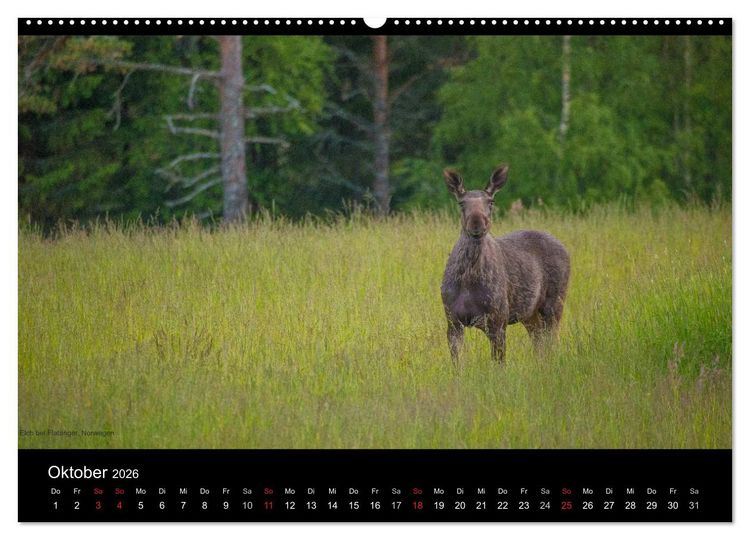 Produktbild: Naturwucht Skandinavien (Wandkalender 2026 DIN A2 quer), CALVENDO Monatskalender