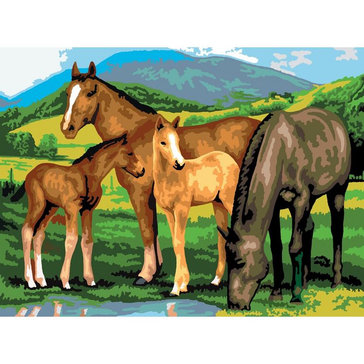 Produktbild: PRACHT Malen nach Zahlen Junior Stute 40x32,5cm