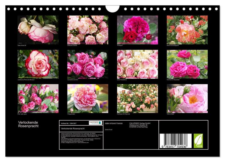 Produktbild: Verlockende Rosenpracht (Wandkalender 2026 DIN A4 quer), CALVENDO Monatskalender