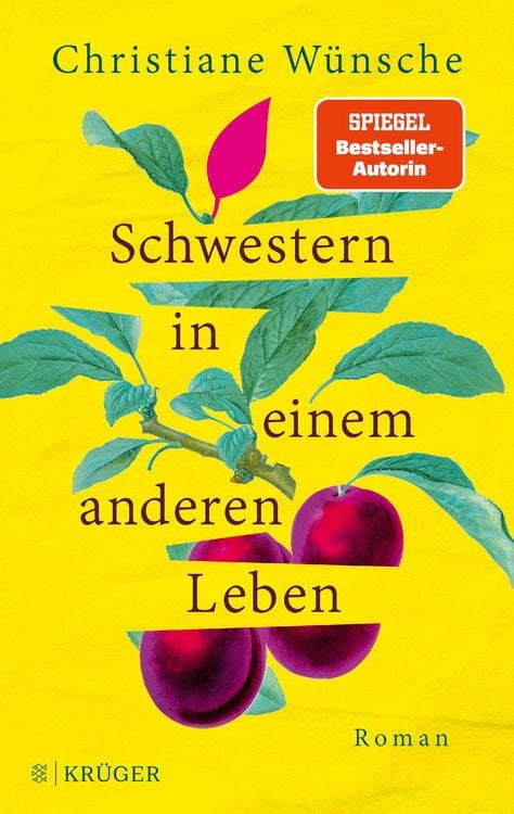 Produktbild: Schwestern in einem anderen Leben