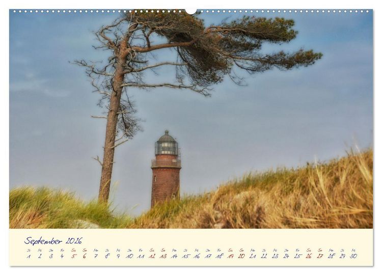 Produktbild: OSTSEEGL&Uuml;CK - Gl&uuml;cksmomente auf dem Dar&szlig; (Wandkalender 2026 DIN A2 quer), CALVENDO Monatskalender