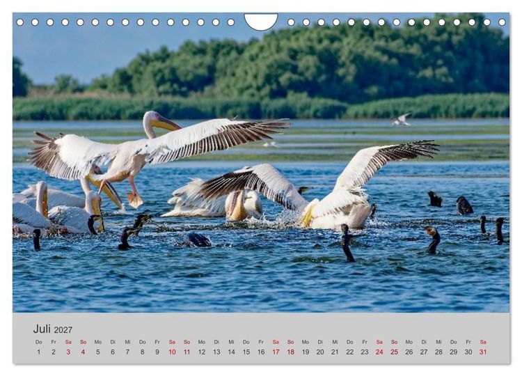 Produktbild: Wasser Europas (Wandkalender 2027 DIN A4 quer), CALVENDO Monatskalender