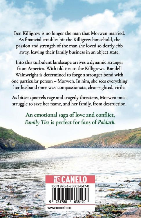 Produktbild: Family Ties