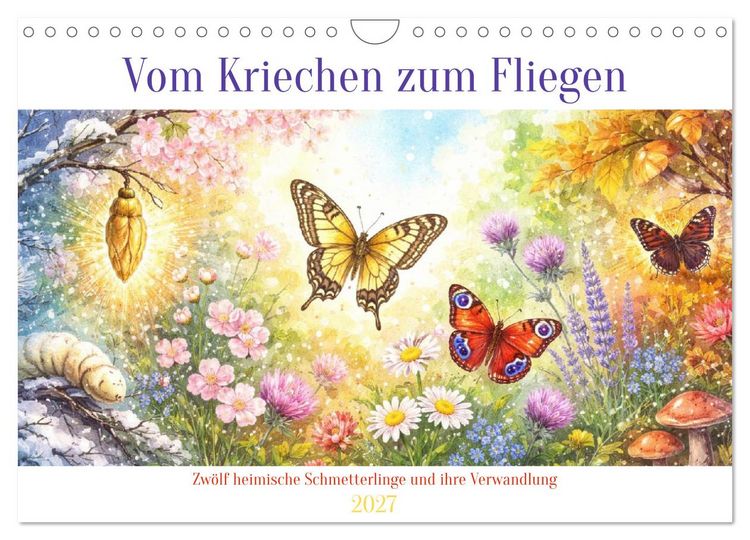 Produktbild: Vom Kriechen zum Fliegen (Wandkalender 2027 DIN A4 quer), CALVENDO Monatskalender