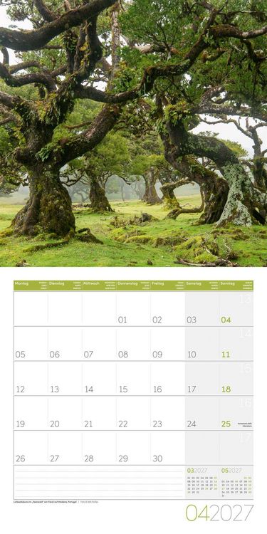 Produktbild: Zauber des Waldes Kalender 2027 - 30x30 - Art12