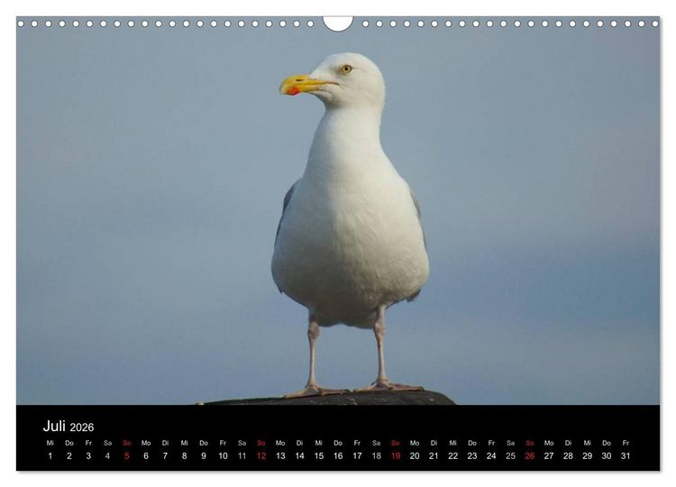 Produktbild: Cuxhaven an der Nordsee (Wandkalender 2026 DIN A3 quer), CALVENDO Monatskalender