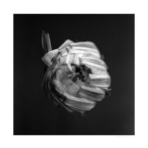 Produktbild: An Empire