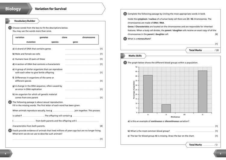 Produktbild: Collins New Key Stage 3 Revision -- Science Year 9: Workbook