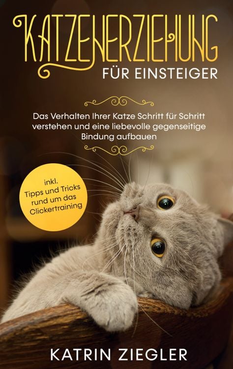 Produktbild: Katzenerziehung f&uuml;r Einsteiger: Das Verhalten Ihrer Katze Schritt f&uuml;r Schritt ve