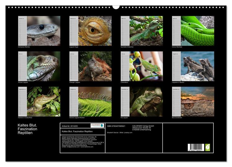 Produktbild: Kaltes Blut. Faszination Reptilien (Wandkalender 2026 DIN A2 quer), CALVENDO Monatskalender