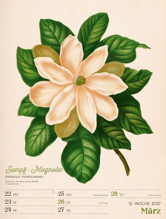 Produktbild: Ars Floralis Wochenplaner Kalender 2027